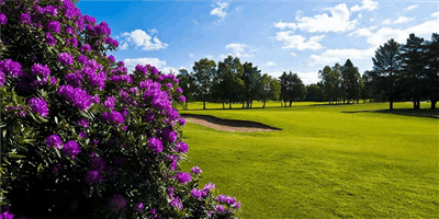 York Golf Club