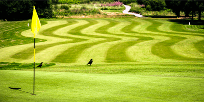 Morriston Golf Club